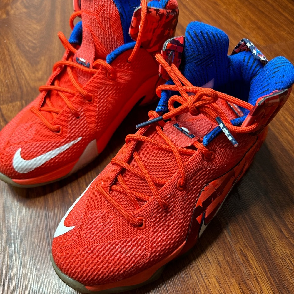 Lebron basketball shoes